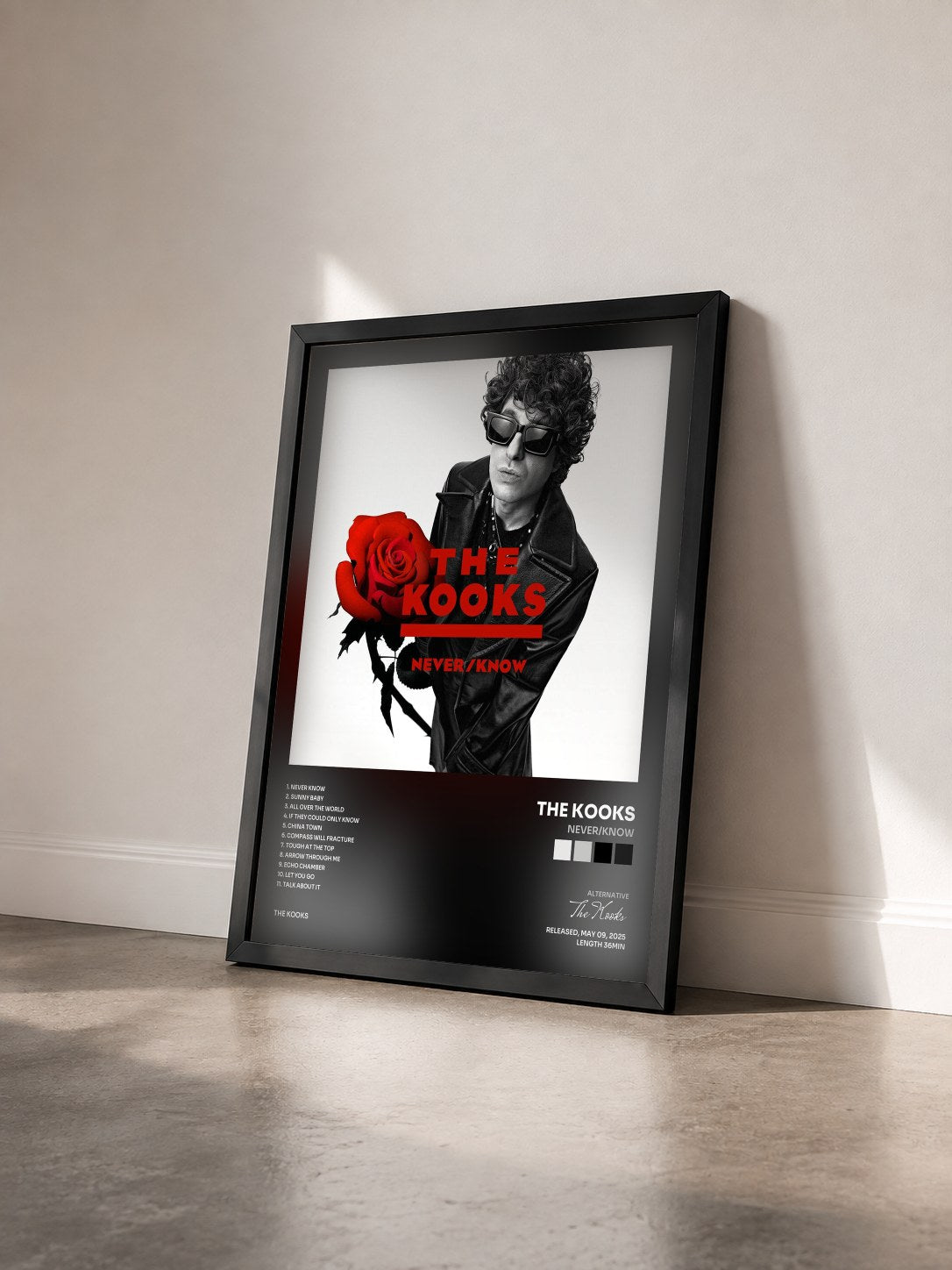 #noir Tableau de l'album Never/Know de The Kooks vu de trois quarts, cadre noir