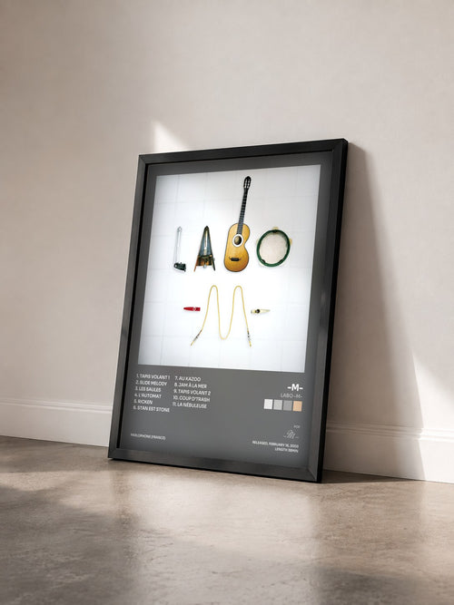 #noir Tableau de l'album Labo -M- de -M- vu de trois quarts, cadre noir
