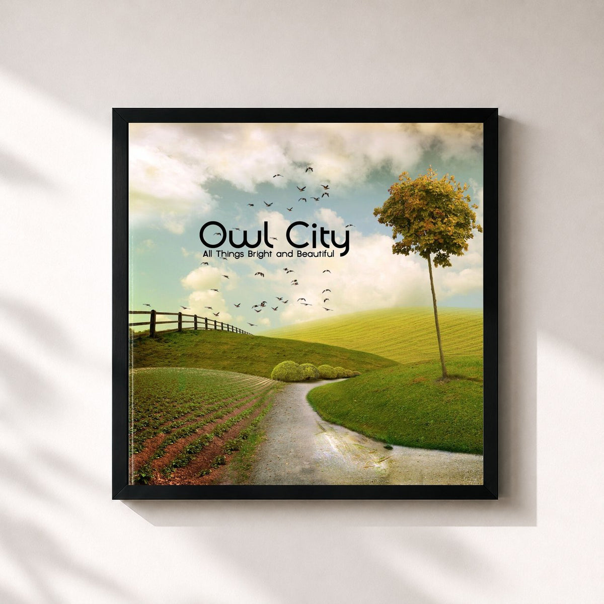 #noir All Things Bright And Beautiful by Owl City as a square framed art print, black 32x32 cm frame