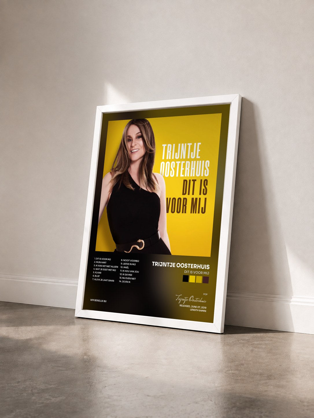 #blanc Tableau de l'album Dit Is Voor Mij de Trijntje Oosterhuis vu de trois quarts, cadre blanc