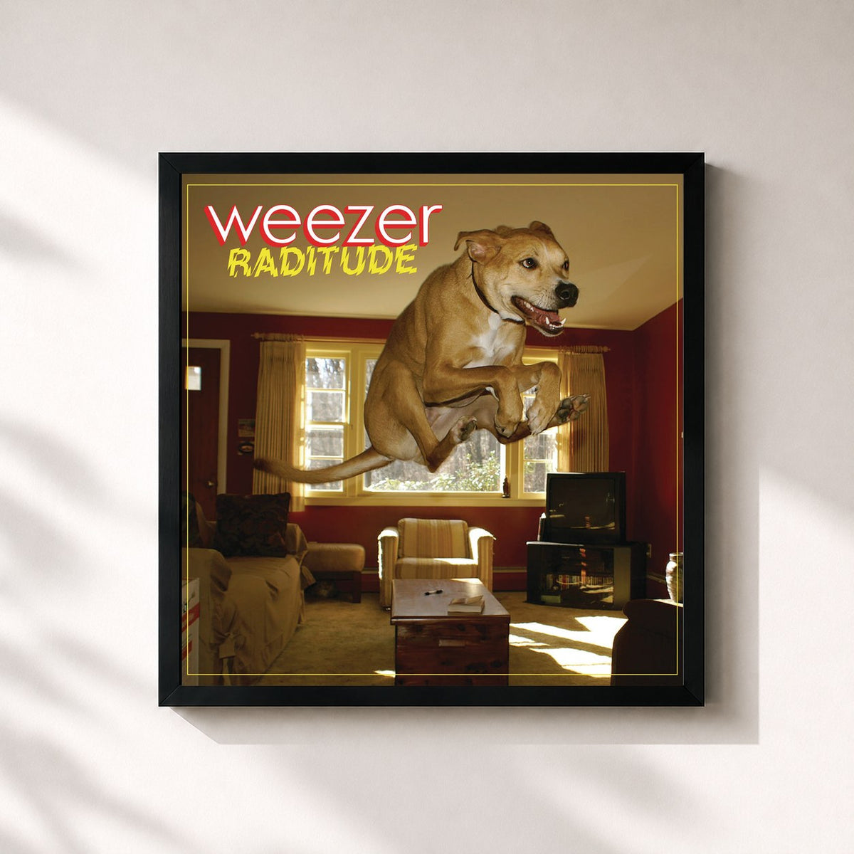 #noir Tableau carré de l'album Raditude (International Version) de Weezer, cadre noir 32x32 cm