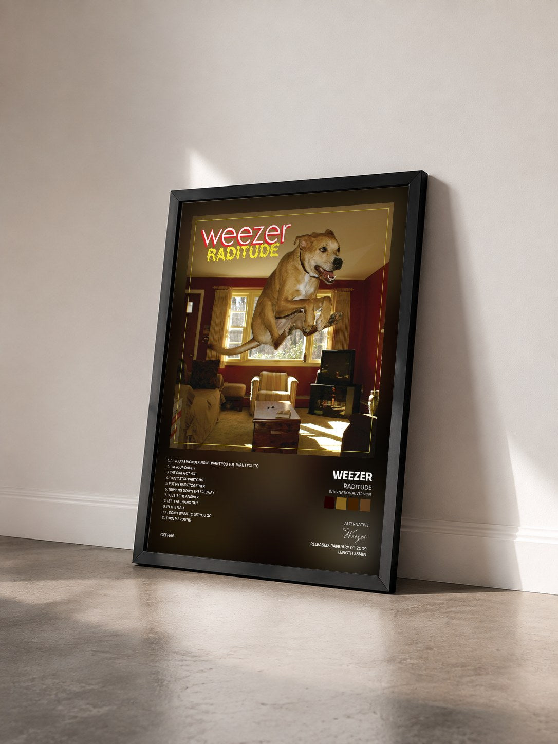 #noir Tableau de l'album Raditude (International Version) de Weezer vu de trois quarts, cadre noir