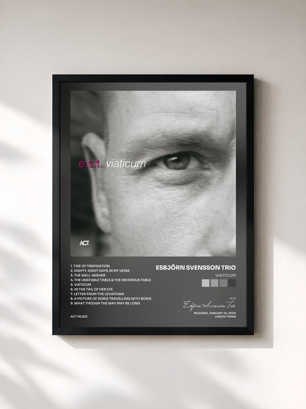 #noir Tableau de l'album Viaticum de Esbjörn Svensson Trio, cadre noir, imprimé et encadré en France