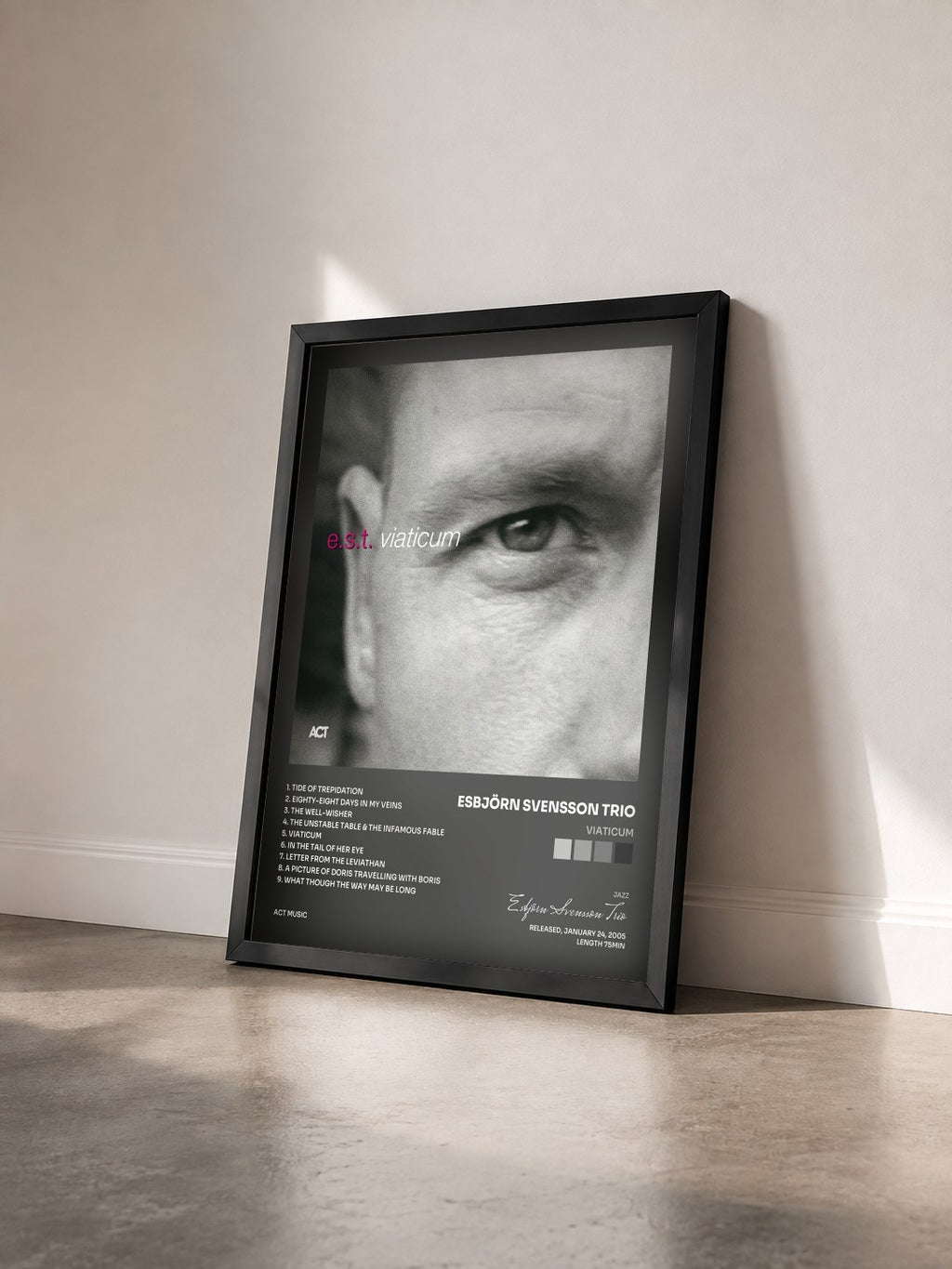 #noir Tableau de l'album Viaticum de Esbjörn Svensson Trio vu de trois quarts, cadre noir
