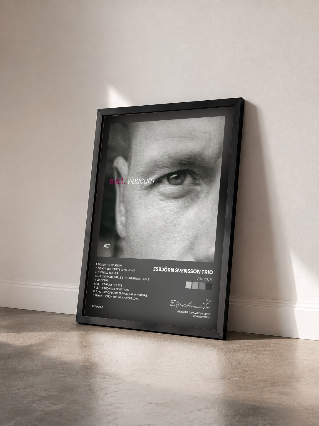 #noir Tableau de l'album Viaticum de Esbjörn Svensson Trio vu de trois quarts, cadre noir