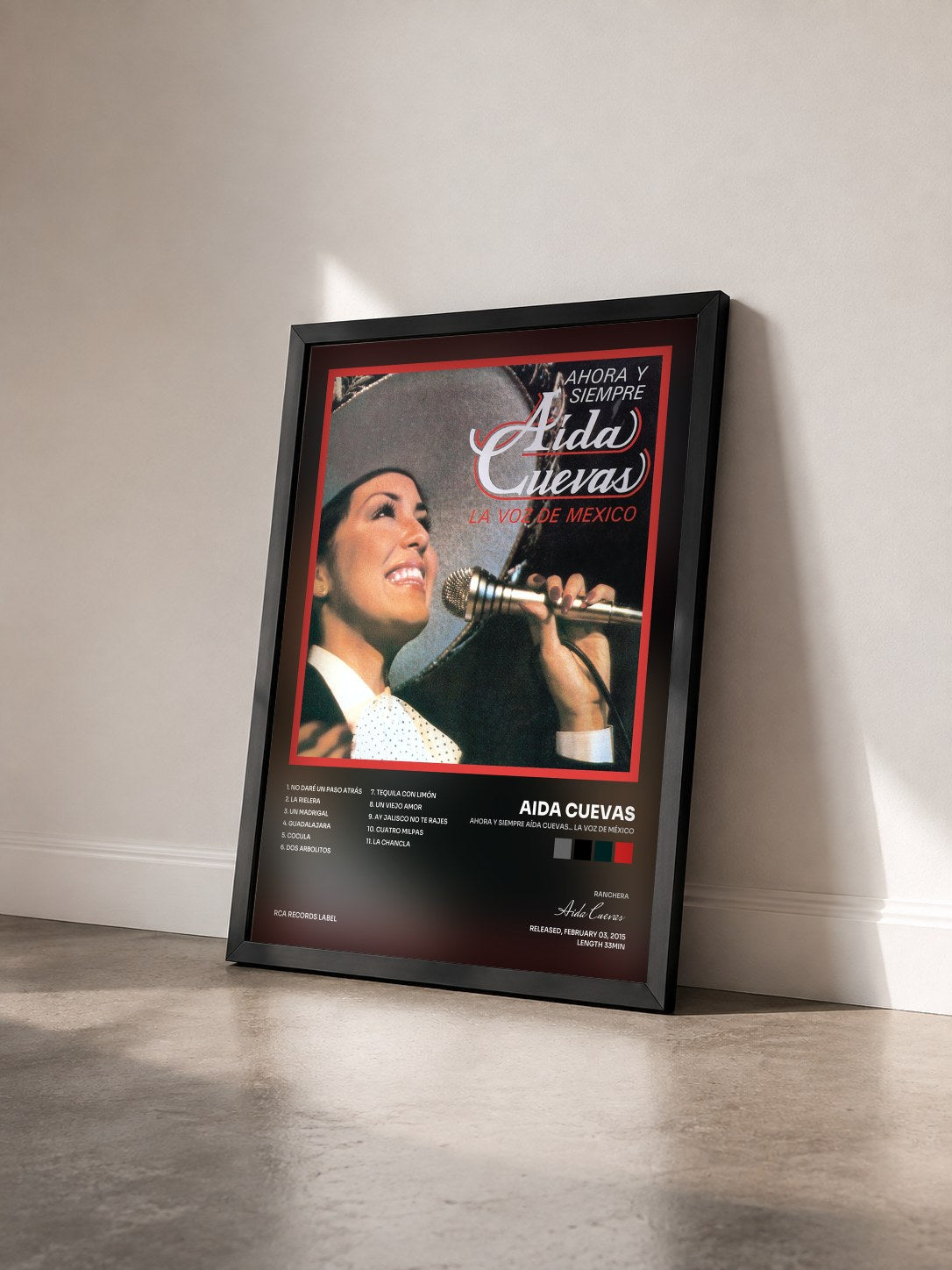 #noir Tableau de l'album Ahora y Siempre Aída Cuevas... La Voz de México de Aida Cuevas vu de trois quarts, cadre noir