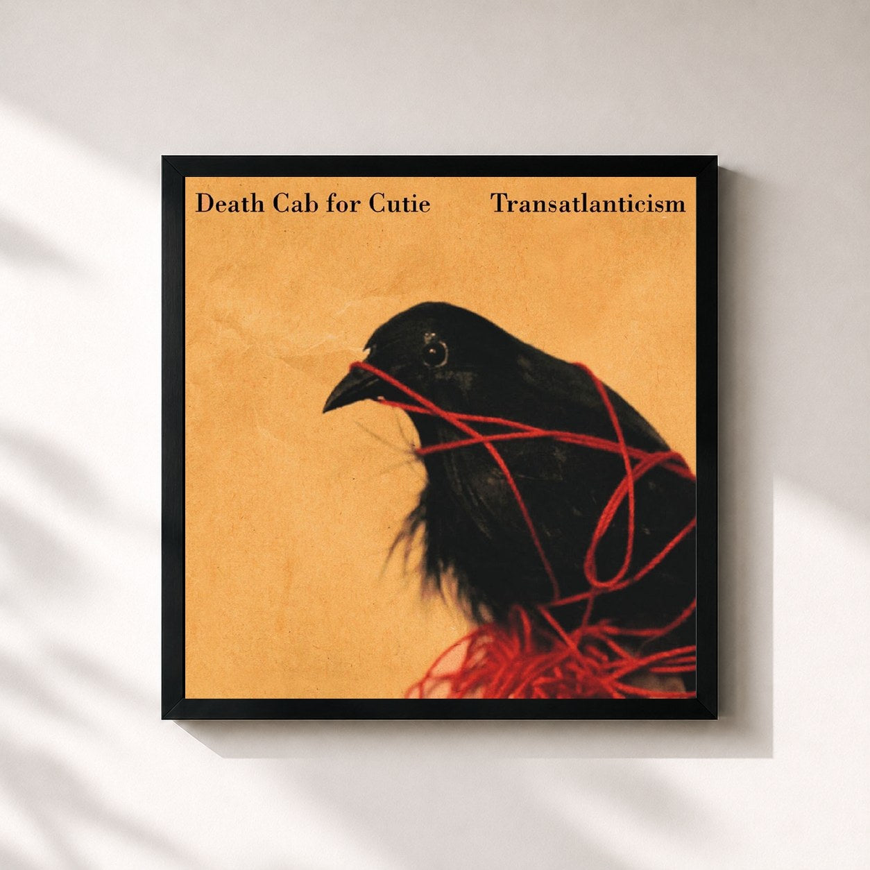 #noir Tableau carré de l'album Transatlanticism de Death Cab for Cutie, cadre noir 32x32 cm