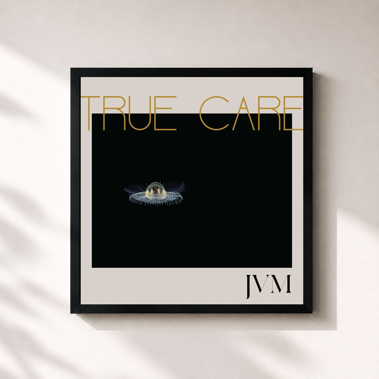 #noir Tableau carré de l'album True Care de James Vincent McMorrow, cadre noir 32x32 cm