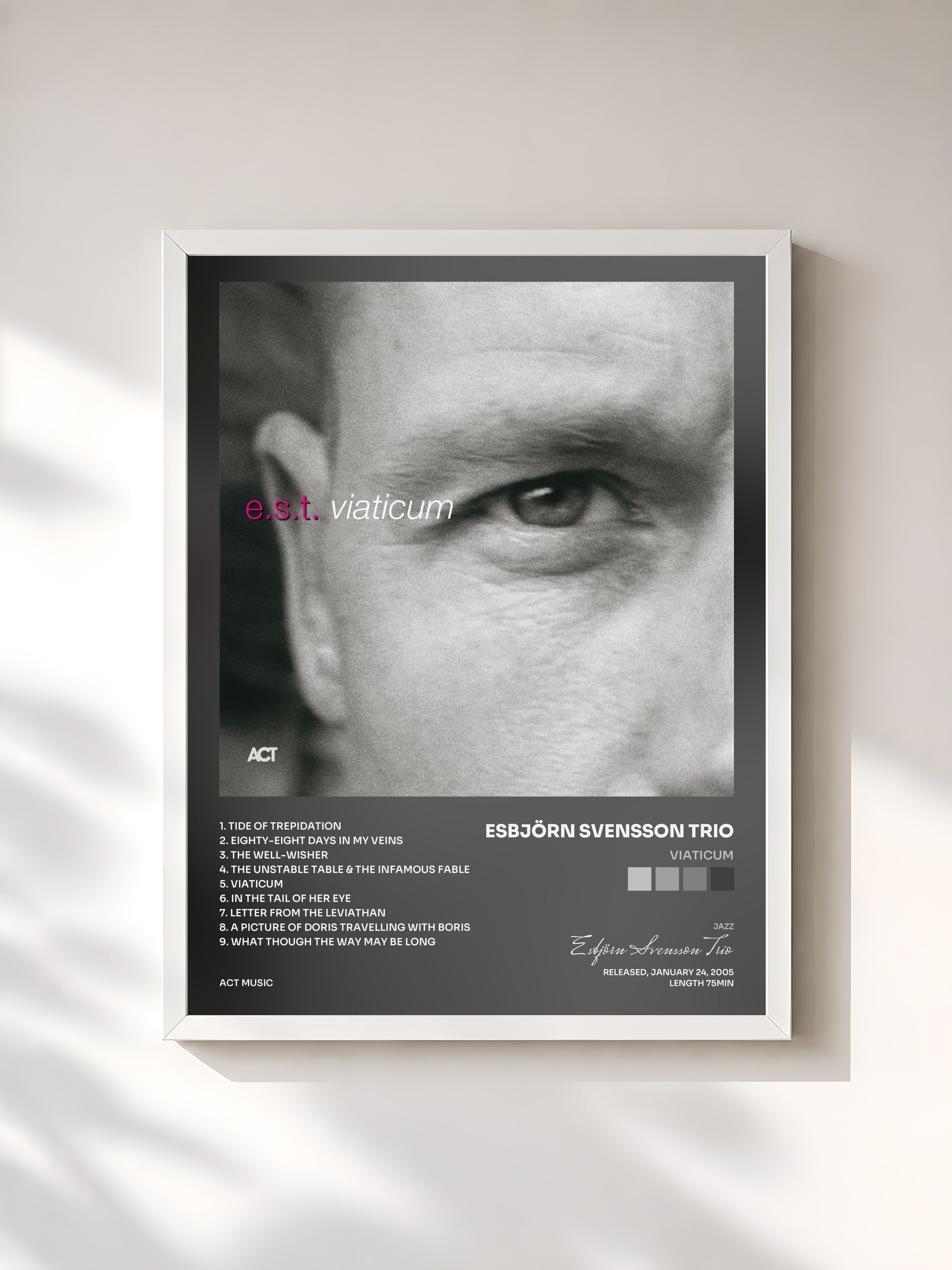 #blanc Tableau de l'album Viaticum de Esbjörn Svensson Trio, cadre blanc, imprimé et encadré en France