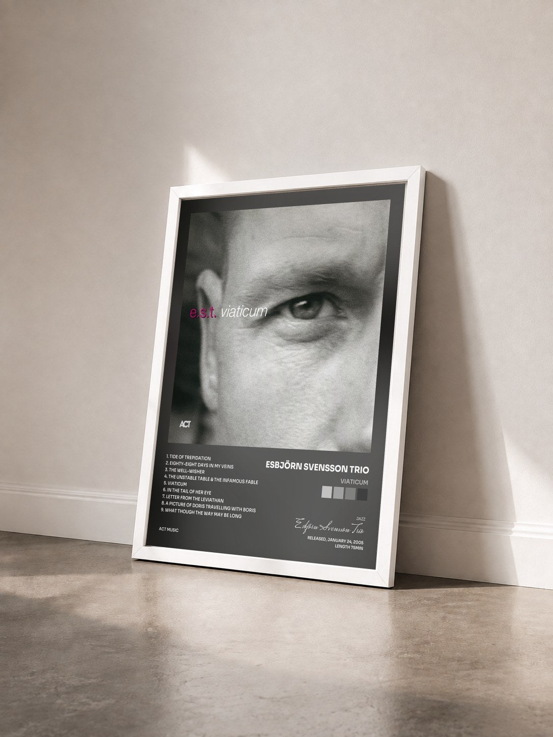#blanc Tableau de l'album Viaticum de Esbjörn Svensson Trio vu de trois quarts, cadre blanc