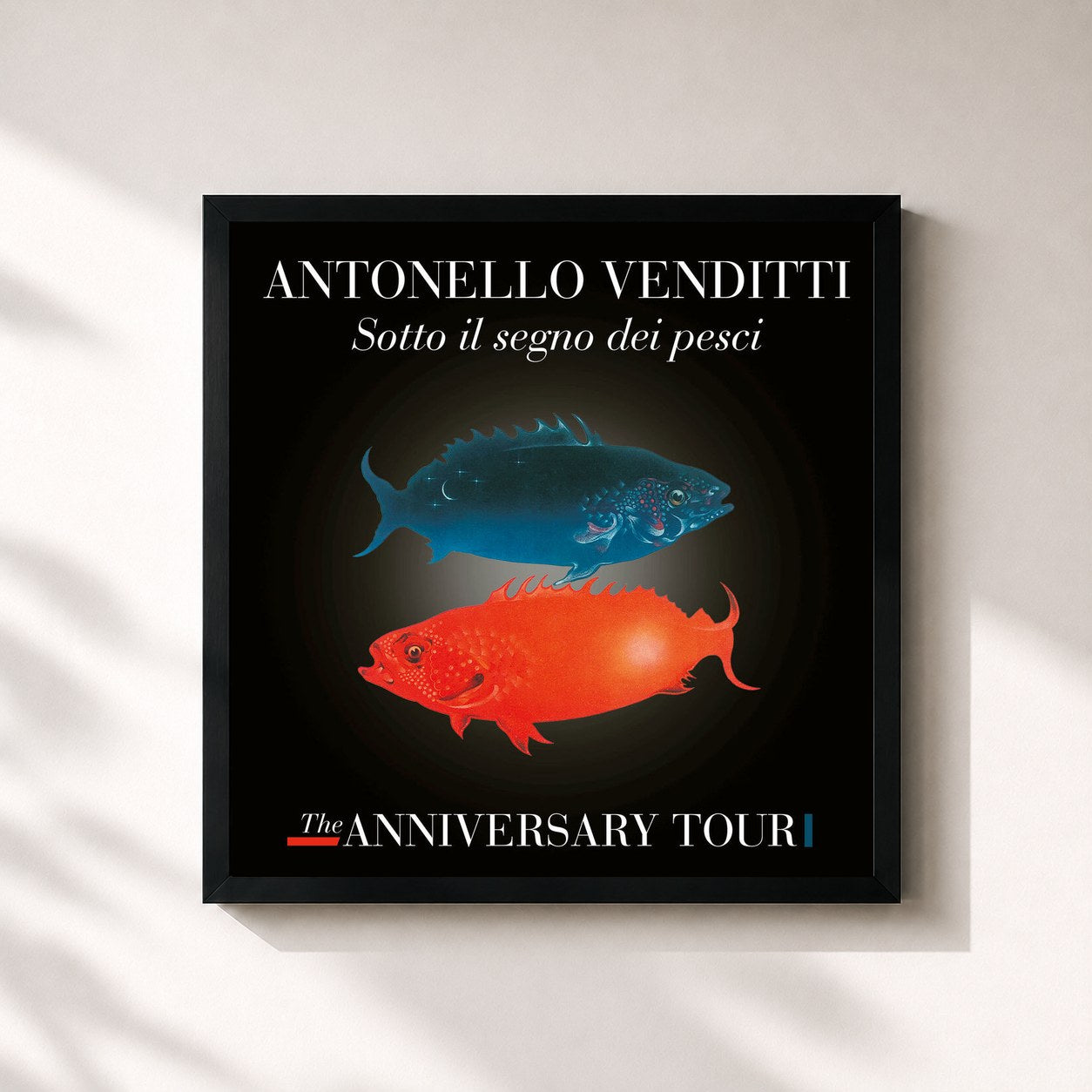 #noir Tableau carré de l'album Sotto il segno dei pesci - The Anniversary Tour de Antonello Venditti, cadre noir 32x32 cm