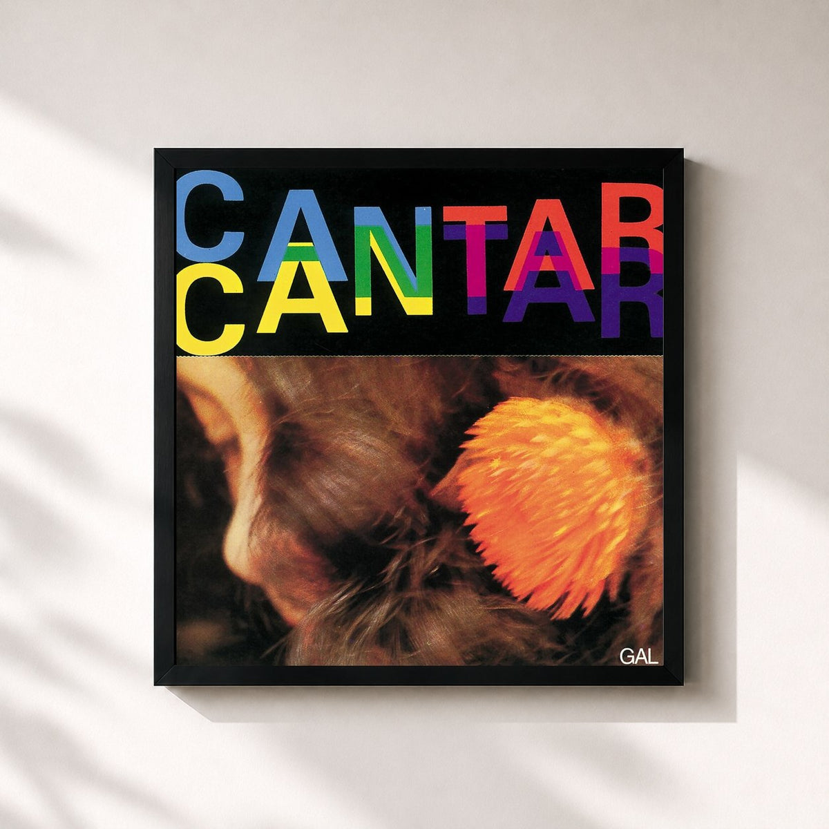 #noir Tableau carré de l'album Cantar de Gal Costa, cadre noir 32x32 cm