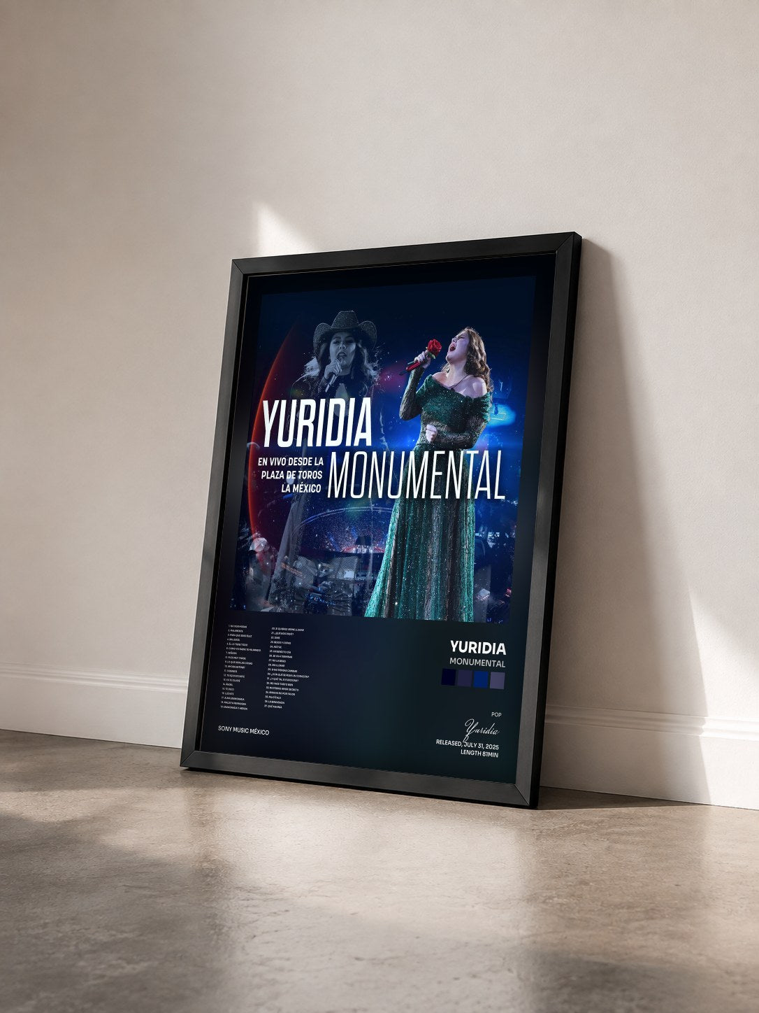 #noir Tableau de l'album Monumental de Yuridia vu de trois quarts, cadre noir