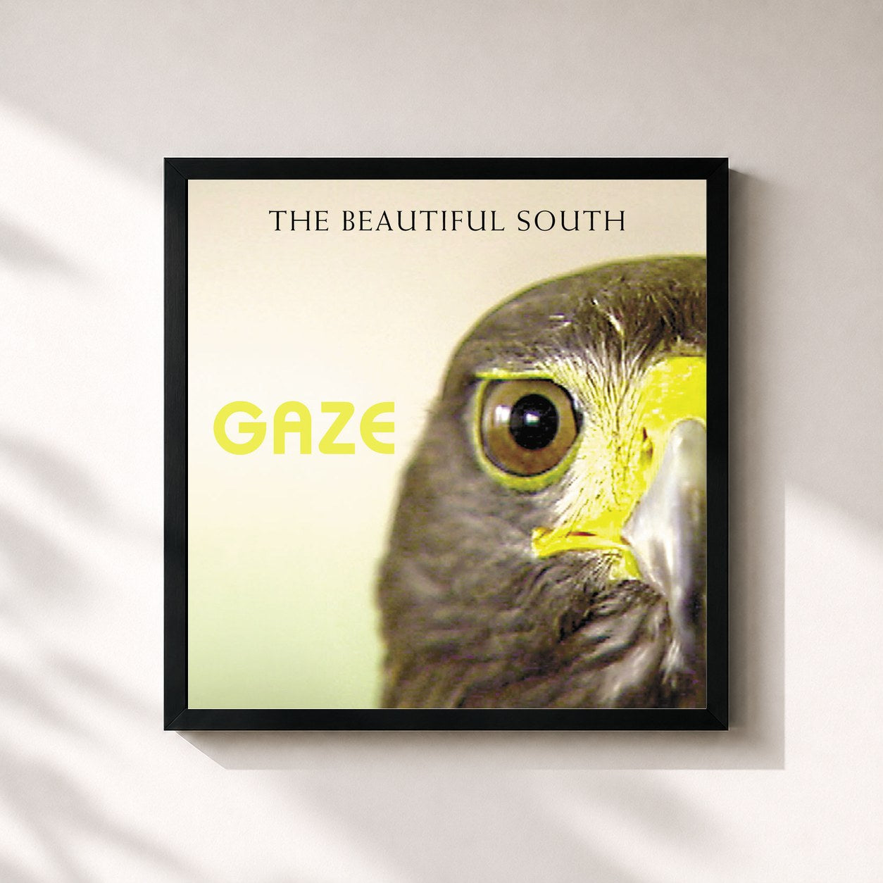 #noir Tableau carré de l'album Gaze de The Beautiful South, cadre noir 32x32 cm
