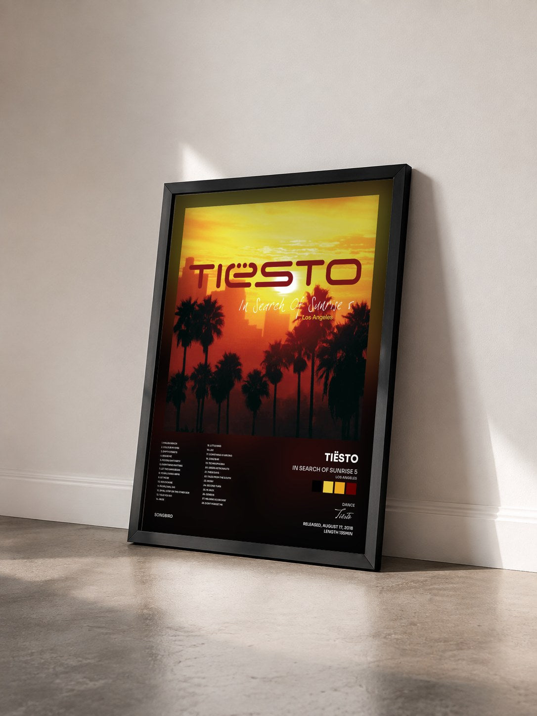 #noir Tableau de l'album In Search of Sunrise 5 (Los Angeles) mixed by Tiësto de Tiësto vu de trois quarts, cadre noir