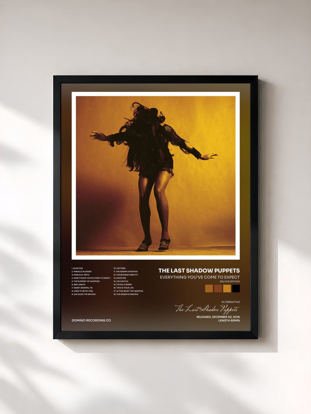 #noir Tableau de l'album Everything You've Come To Expect (Deluxe Edition) de The Last Shadow Puppets, cadre noir, imprimé et encadré en France