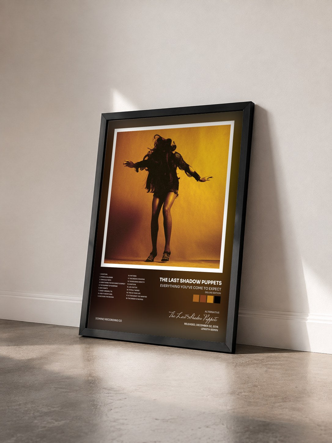 #noir Tableau de l'album Everything You've Come To Expect (Deluxe Edition) de The Last Shadow Puppets vu de trois quarts, cadre noir