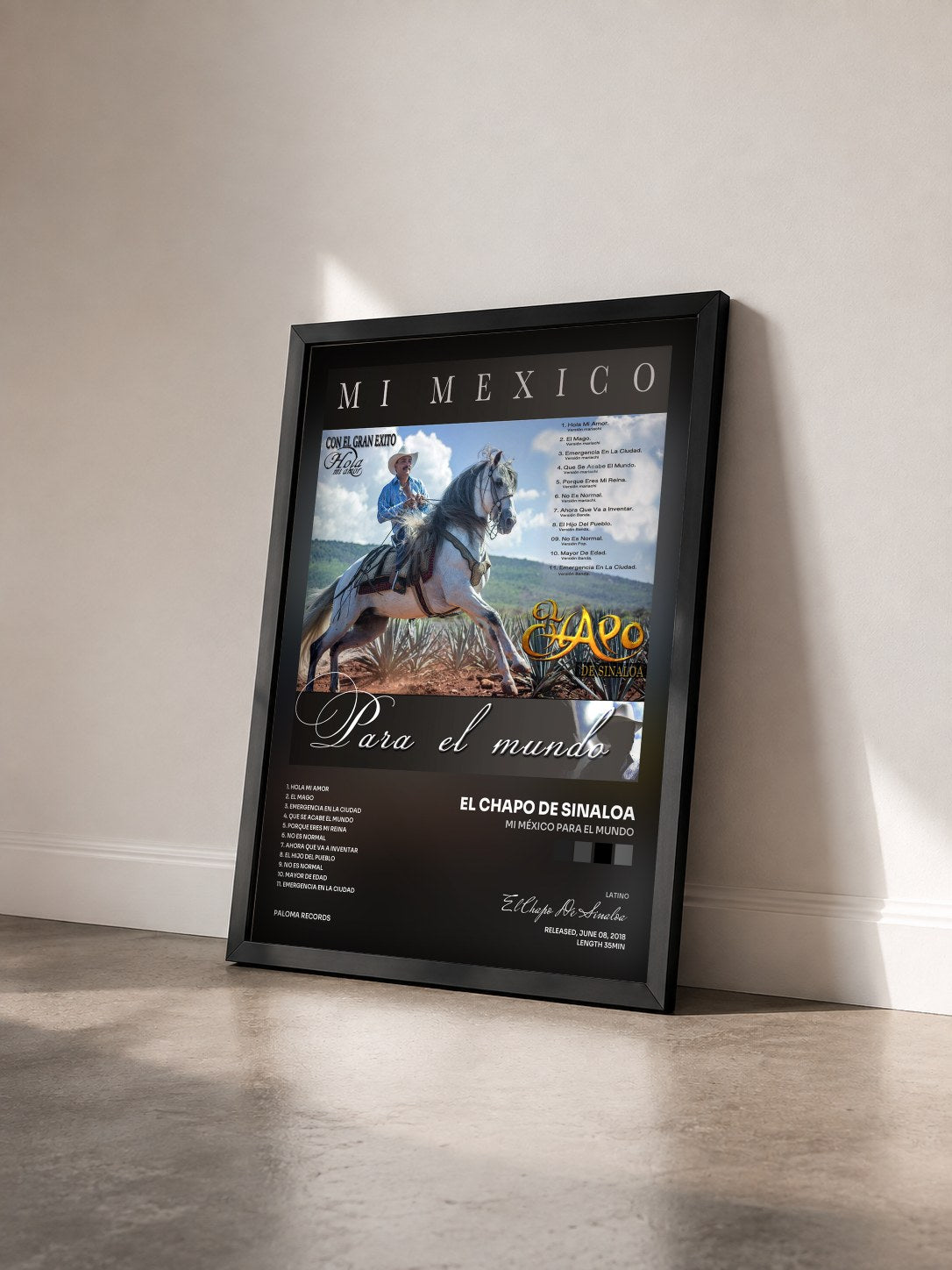 #noir Tableau de l'album Mi México Para El Mundo de El Chapo De Sinaloa vu de trois quarts, cadre noir
