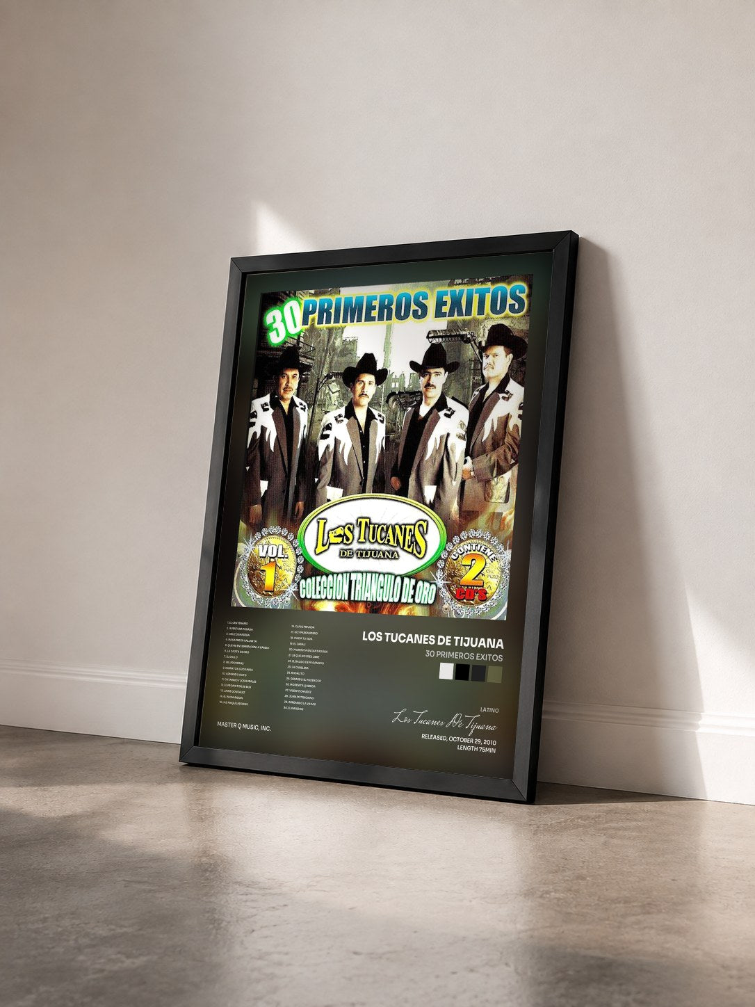 #noir Tableau de l'album 30 Primeros Exitos de Los Tucanes De Tijuana vu de trois quarts, cadre noir