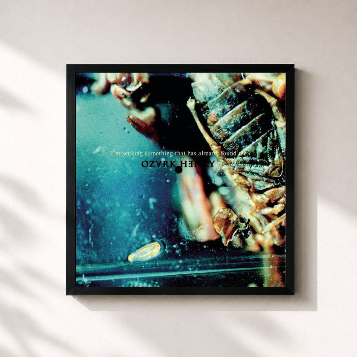 #noir Tableau carré de l'album I'm Seeking Something That Has Already Found Me de Ozark Henry, cadre noir 32x32 cm