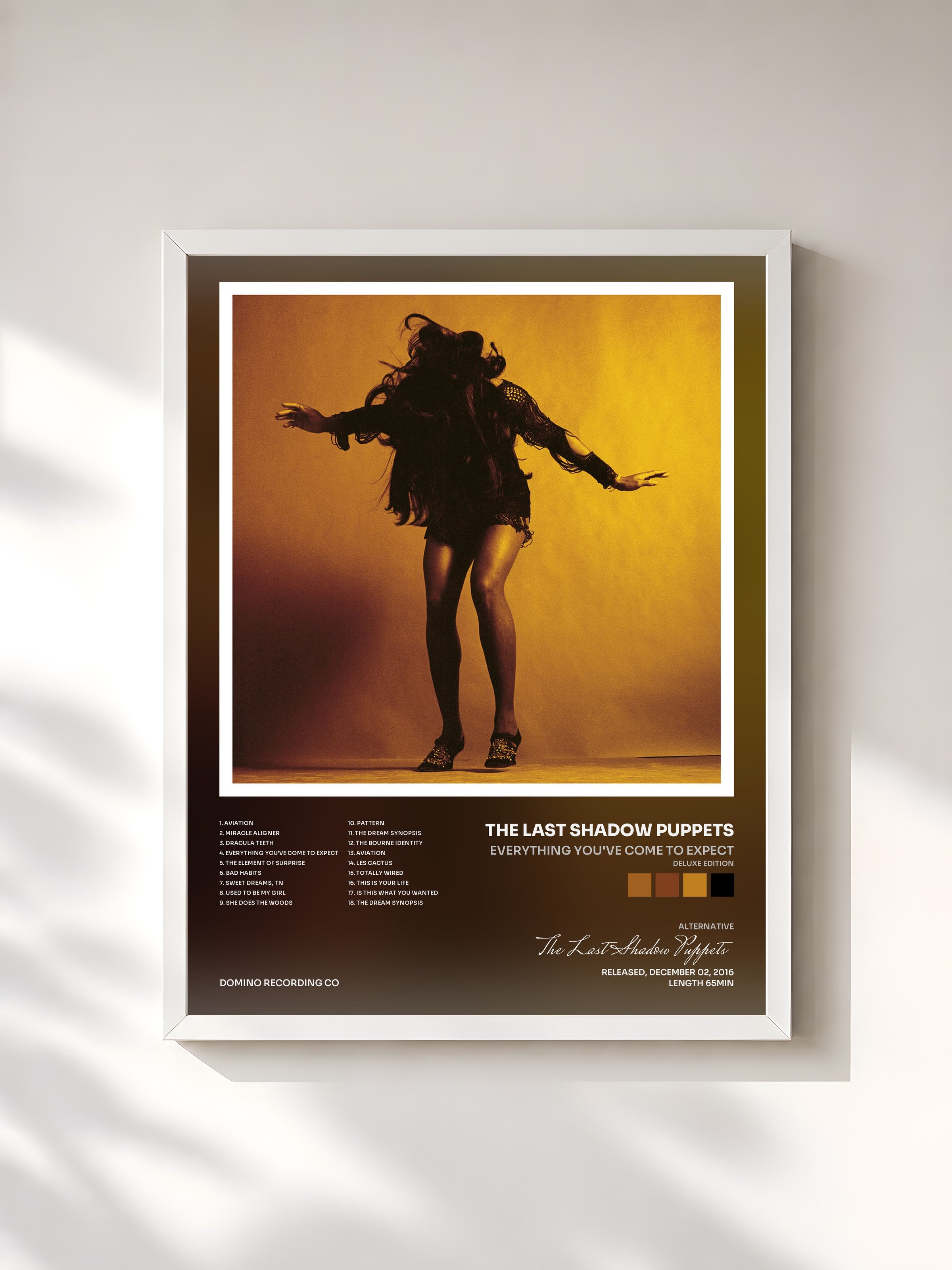 #blanc Tableau de l'album Everything You've Come To Expect (Deluxe Edition) de The Last Shadow Puppets, cadre blanc, imprimé et encadré en France