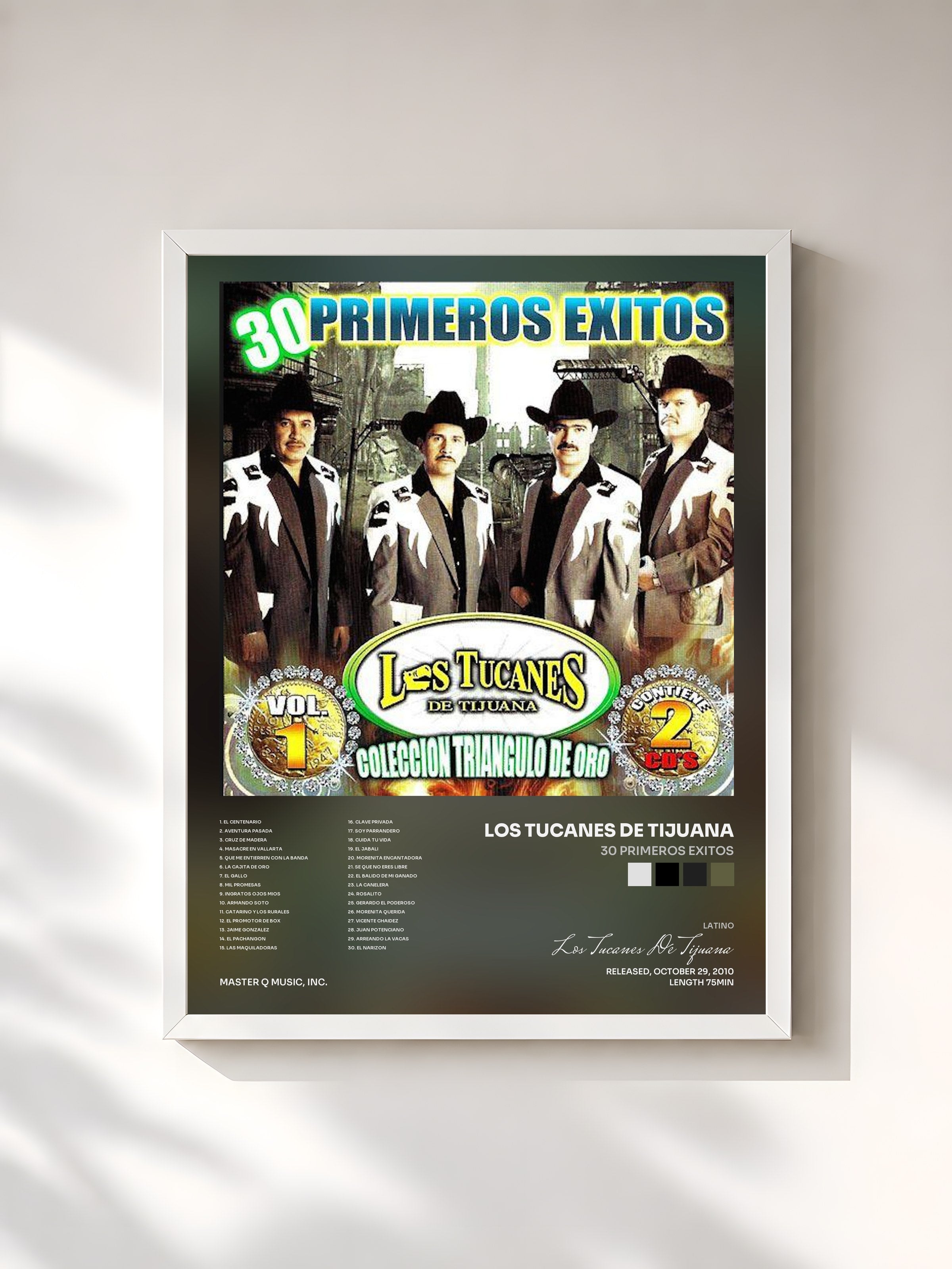 #blanc Tableau de l'album 30 Primeros Exitos de Los Tucanes De Tijuana, cadre blanc, imprimé et encadré en France