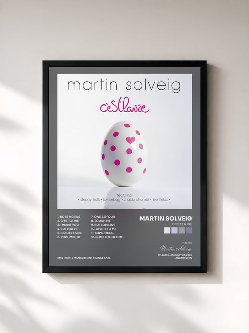 Martin Solveig · C’est la vie — Stampa incorniciata