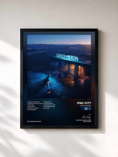Owl City · Coco Moon — Framed art print