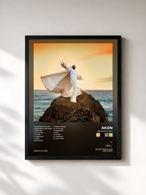 Akon · BEAUTIFUL DAY — Stampa incorniciata