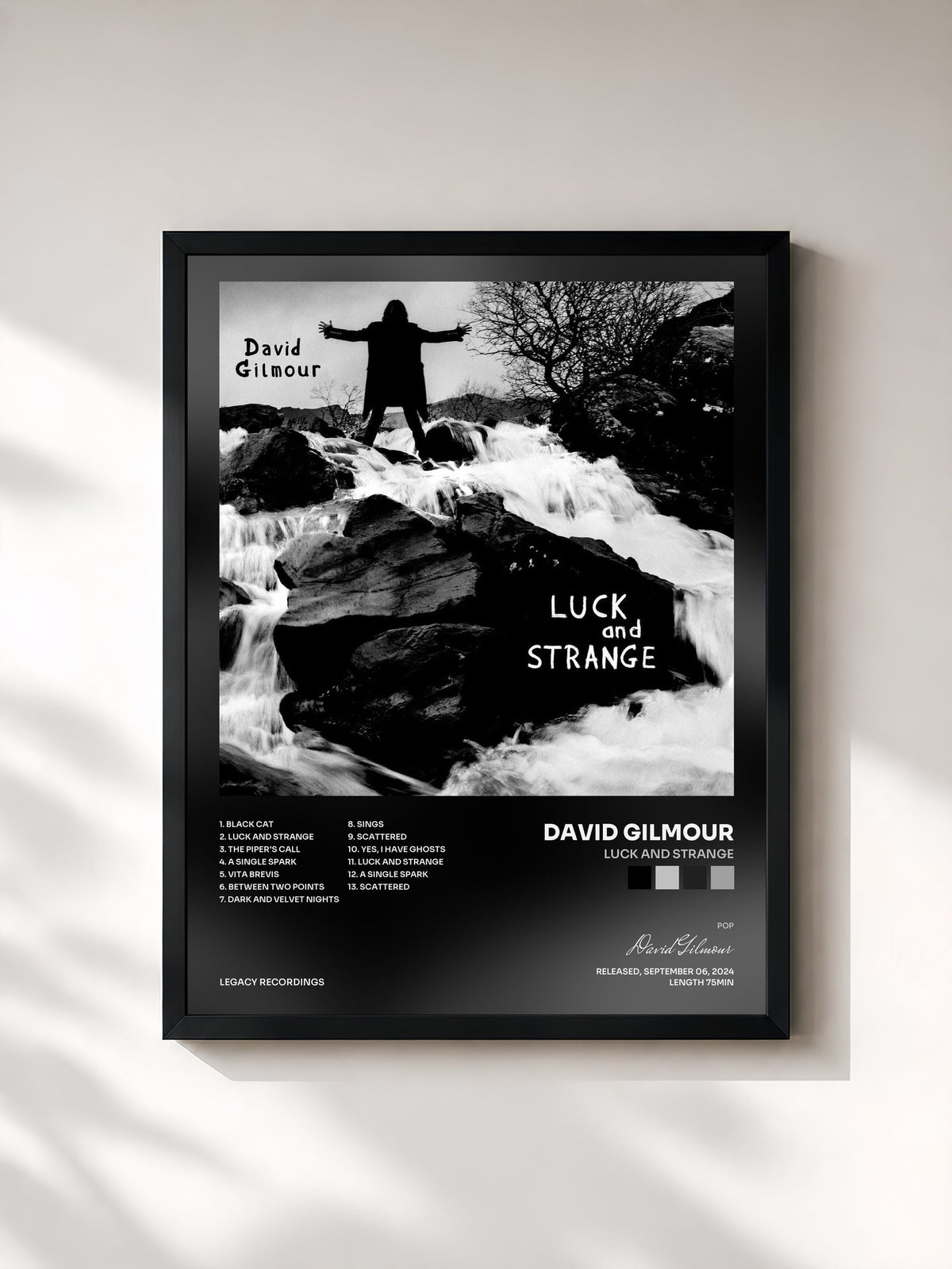 #noir Tableau de l'album Luck and Strange de David Gilmour, cadre noir, imprimé et encadré en France
