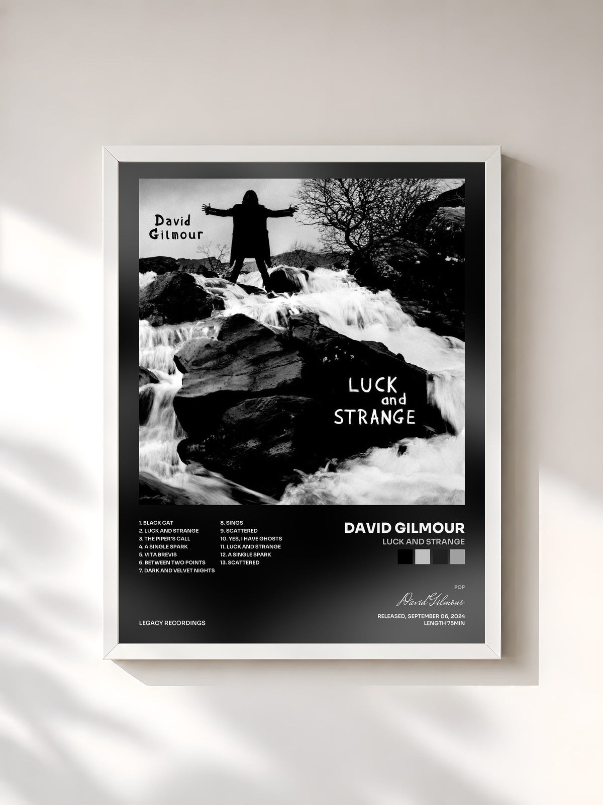 #blanc Tableau de l'album Luck and Strange de David Gilmour, cadre blanc, imprimé et encadré en France