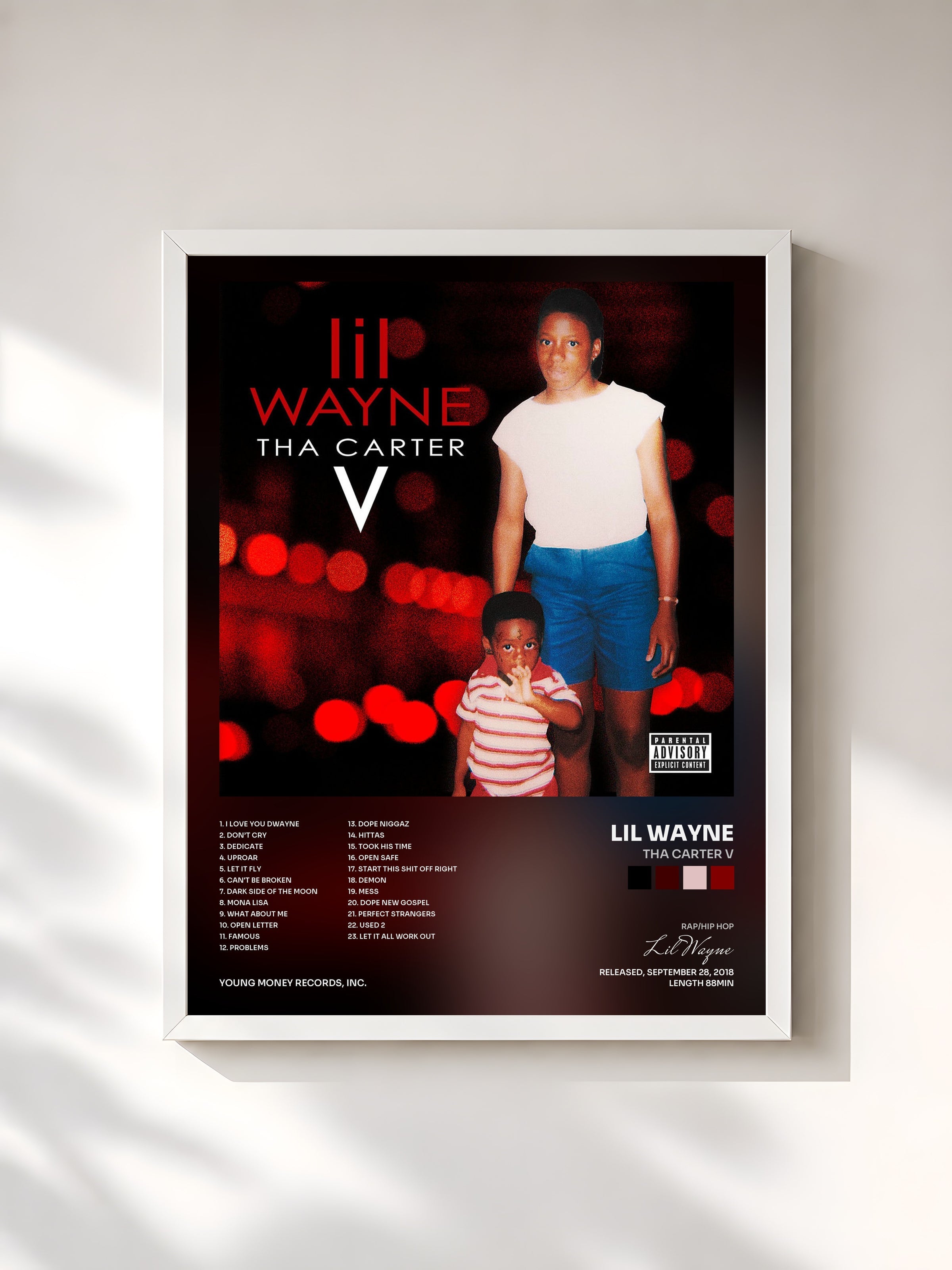 #blanc Tableau de l'album Tha Carter V de Lil Wayne, cadre blanc, imprimé et encadré en France