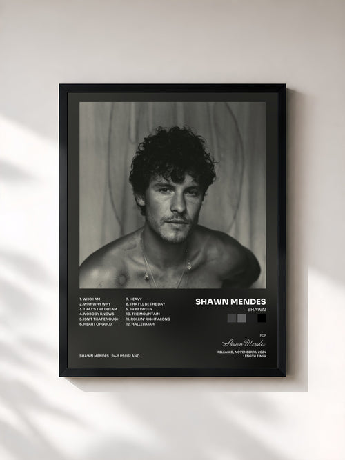 Shawn Mendes · Shawn — Stampa incorniciata