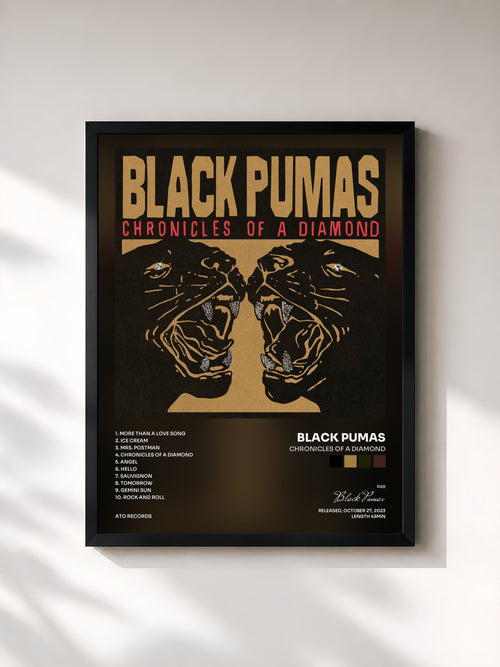 Black Pumas · Chronicles of a Diamond — Stampa incorniciata