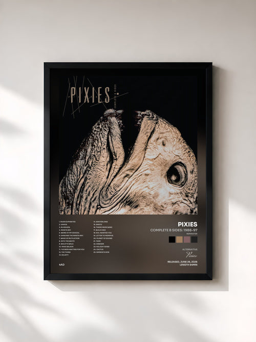Pixies · Complete B Sides: 1988-97 (Remaster) — Stampa incorniciata