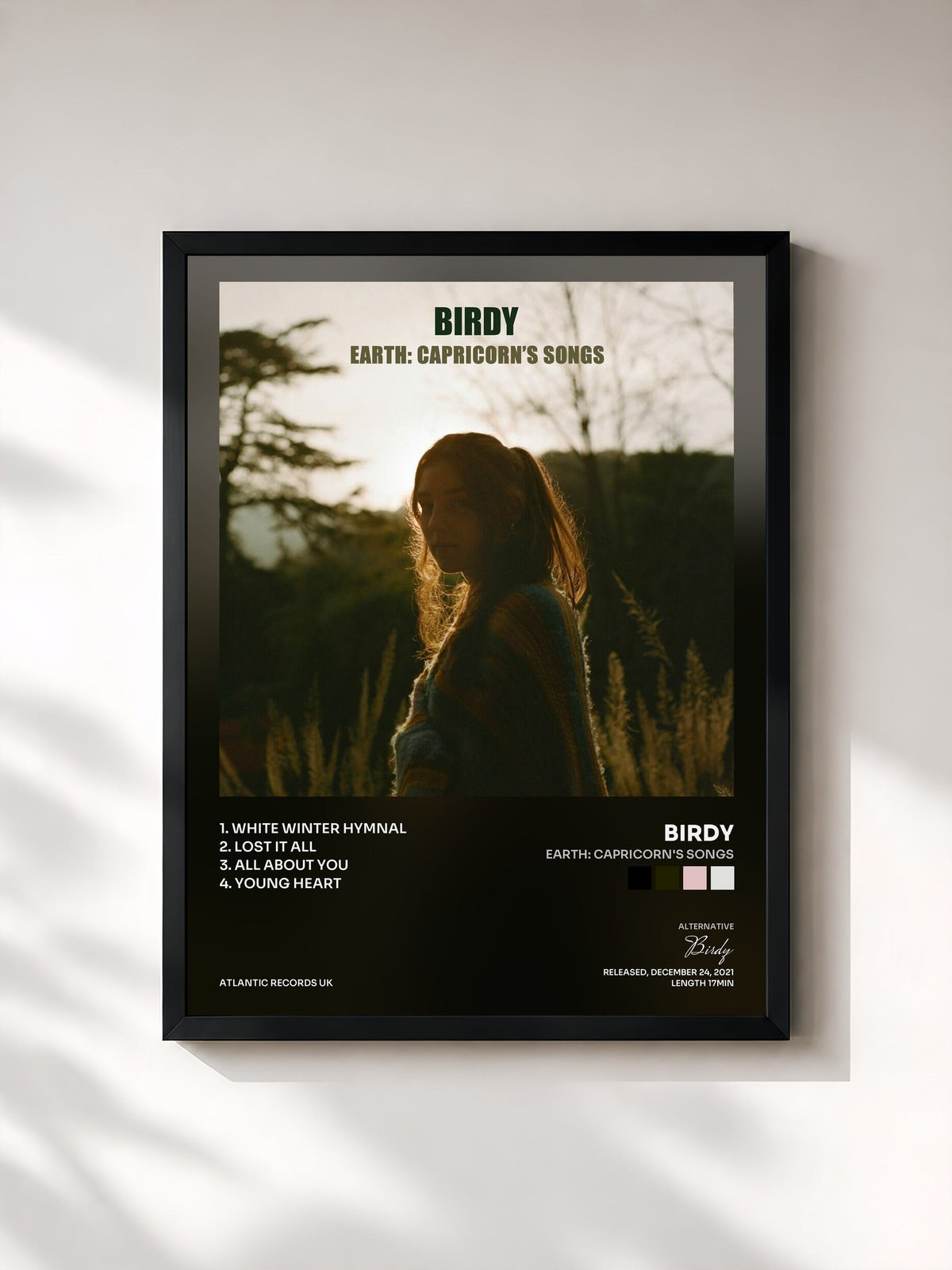 #noir Tableau de l'album Earth: Capricorn's Songs de Birdy, cadre noir, imprimé et encadré en France