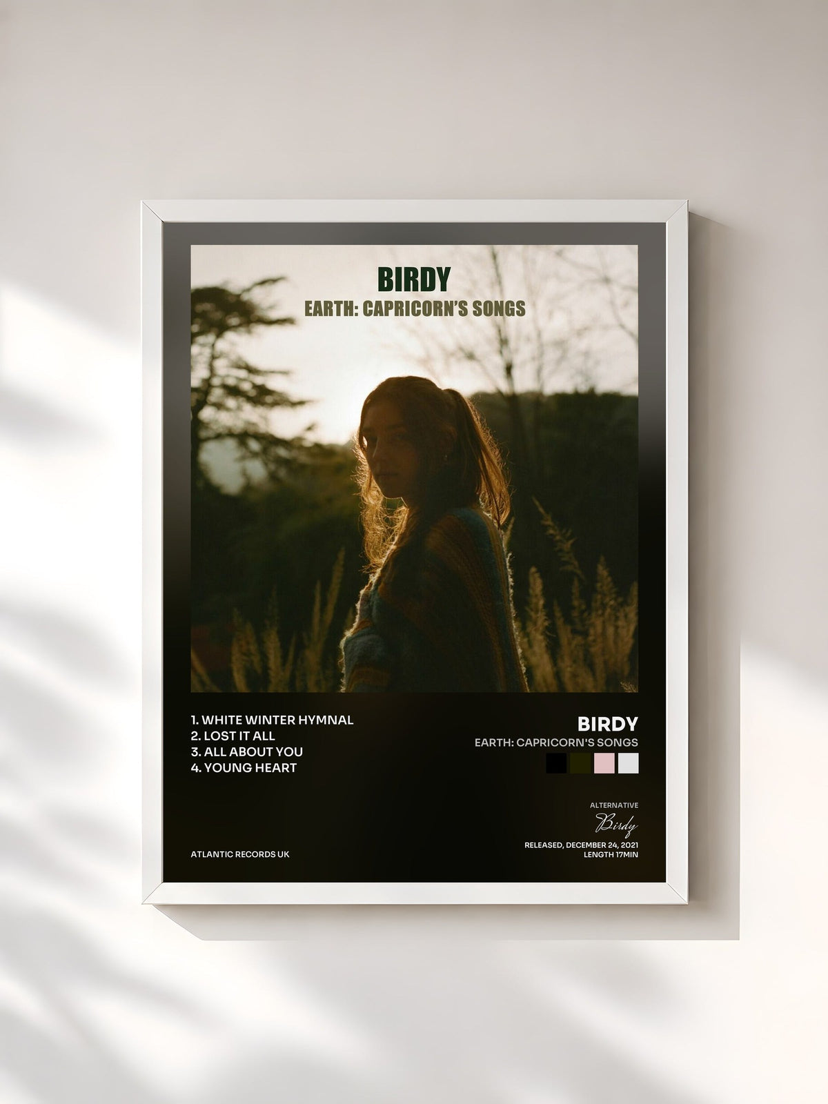#blanc Tableau de l'album Earth: Capricorn's Songs de Birdy, cadre blanc, imprimé et encadré en France