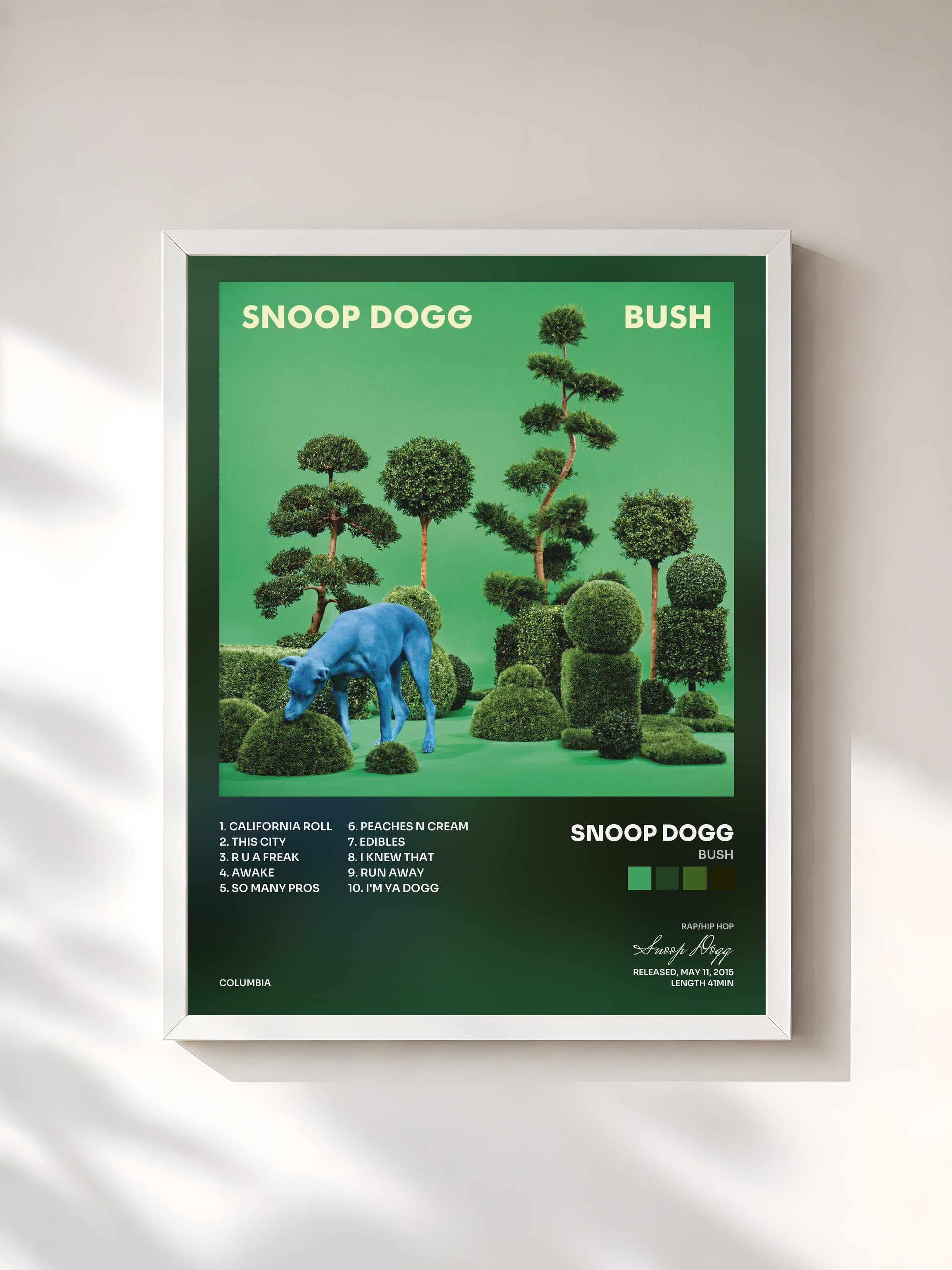 #blanc Tableau de l'album BUSH de Snoop Dogg, cadre blanc, imprimé et encadré en France