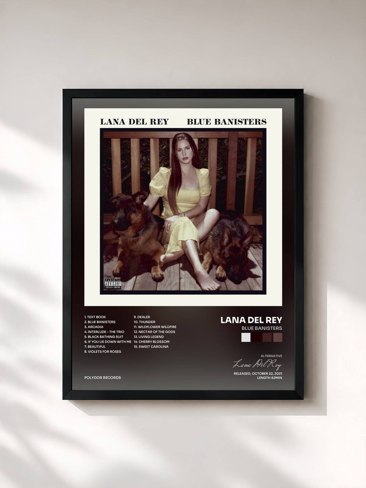 #noir Tableau de l'album Blue Banisters de Lana Del Rey, cadre noir, imprimé et encadré en France