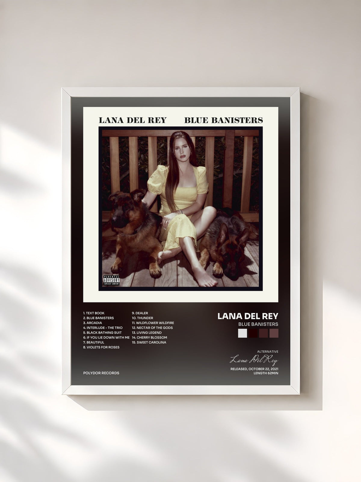 #blanc Tableau de l'album Blue Banisters de Lana Del Rey, cadre blanc, imprimé et encadré en France