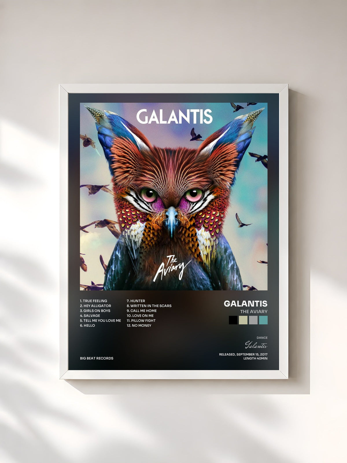 #blanc Tableau de l'album The Aviary de Galantis, cadre blanc, imprimé et encadré en France